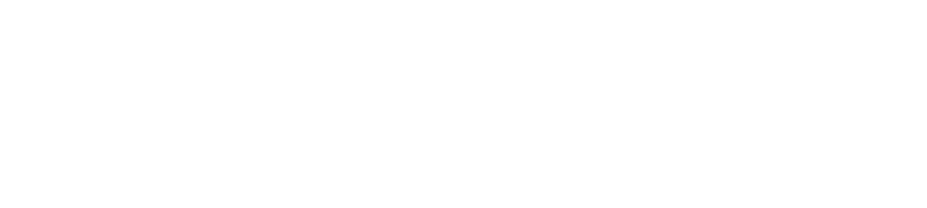 The Dominus Atelier Team